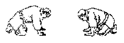 clip_image-salut1